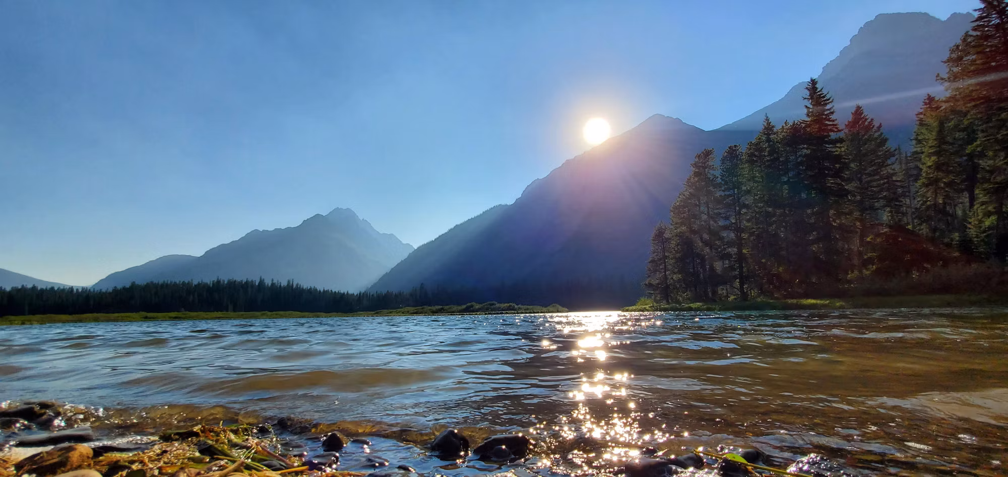 Finding Serenity in Nature: The Benefits of Forest Bathing